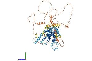 AlphaFold protein structure predicition of Mouse Recombinant Phtf1 Protein, UniprotID Q9QZ09
