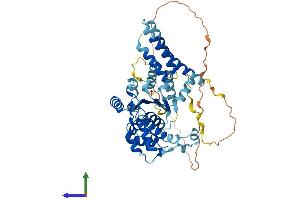 AlphaFold protein structure predicition of Human Recombinant KATNAL1 Protein, UniprotID Q9BW62