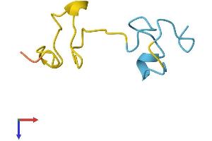 AlphaFold protein structure predicition of Human Recombinant MT4 Protein, UniprotID P47944