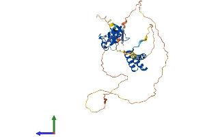AlphaFold protein structure predicition of Human Recombinant LHX1 Protein, UniprotID P48742