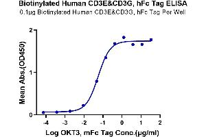 Immobilized Biotinylated Human CD3E&CD3G, hFc Tag at 1 μg/mL (100 μL/Well) on streptavidin (5 μg/mL) precoated plate. (CD3E & CD3G protein (Fc-Avi Tag,Biotin))