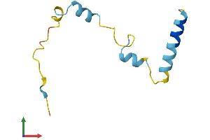 AlphaFold protein structure predicition of Mouse Recombinant Nupr1 Protein, UniprotID Q9WTK0