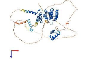 AlphaFold protein structure predicition of Mouse Recombinant Terf2 Protein, UniprotID O35144