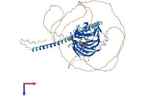 AlphaFold protein structure predicition of Human Recombinant TLE2 Protein, UniprotID Q04725