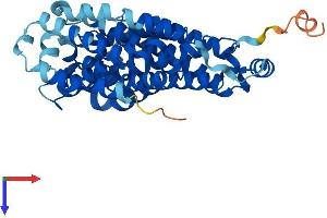 Transmembrane 6 Superfamily Member 2 (TM6SF2) (AA 1-378) protein (His tag)