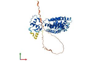 AlphaFold protein structure predicition of Human Recombinant PPARD Protein, UniprotID Q03181