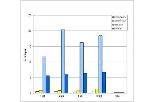Chromatin Immunoprecipitation H3K27me2 Antibody Chromatin Immunoprecipitation Rabbit H3K27me2 Antibody.