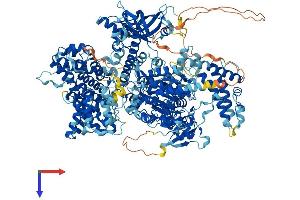AlphaFold protein structure predicition of Human Recombinant AQR Protein, UniprotID O60306