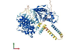 AlphaFold protein structure predicition of Human Recombinant DDX55 Protein, UniprotID Q8NHQ9