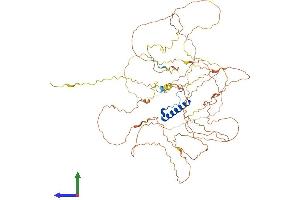 AlphaFold protein structure predicition of Mouse Recombinant Nufip2 Protein, UniprotID Q5F2E7