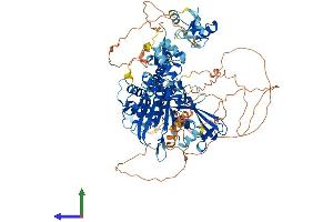 AlphaFold protein structure predicition of Human Recombinant USP33 Protein, UniprotID Q8TEY7