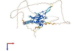 AlphaFold protein structure predicition of Human Recombinant NAP1L3 Protein, UniprotID Q99457