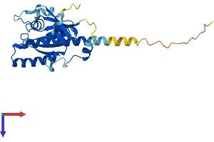 AlphaFold protein structure predicition of Mouse Recombinant Rab34 Protein, UniprotID Q64008