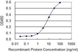 Detection limit for recombinant GST tagged SNAI2 is 0. (SLUG anticorps  (AA 97-169))