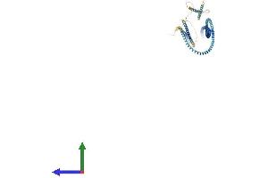 AlphaFold protein structure predicition of Mouse Recombinant Sdccag8 Protein, UniprotID Q80UF4