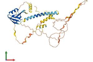 AlphaFold protein structure predicition of Human Recombinant TAMALIN Protein, UniprotID Q7Z6J2