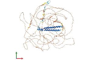 AlphaFold protein structure predicition of Mouse Recombinant Sap130 Protein, UniprotID Q8BIH0