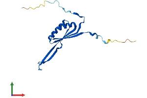 AlphaFold protein structure predicition of Mouse Recombinant Mrps10 Protein, UniprotID Q80ZK0