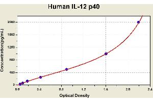 Diagramm of the ELISA kit to detect Human 1 L-12 p40with the optical density on the x-axis and the concentration on the y-axis. (IL12B Kit ELISA)