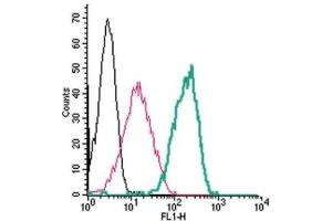 Cell surface detection of Calcium Sensing Receptor by indirect flow cytometry in live intact human THP-1 monocytic leukemia cells:(black line) Cells.