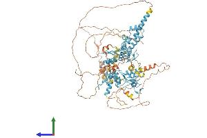 AlphaFold protein structure predicition of Human Recombinant ZKSCAN5 Protein, UniprotID Q9Y2L8