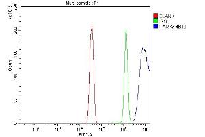 anti-Parkinson Protein 7 (PARK7) (AA 2-189) antibody