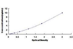 Neuronal Pentraxin II (NPTX2) ELISA Kit