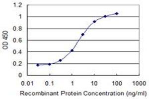 Detection limit for recombinant GST tagged CKMT1B is 0. (CKMT1B anticorps  (AA 327-417))