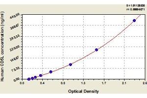 Typical Standard Curve (CD5L Kit ELISA)