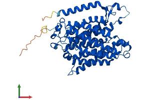 AlphaFold protein structure predicition of Mouse Recombinant Rhbg Protein, UniprotID Q8BUX5 (RHBG Protein (AA 1-455) (His tag))