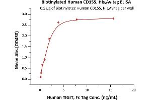 Immobilized Biotinylated Human CD155, His,Avitag (ABIN6386413,ABIN6388286) at 5 μg/mL (100 μL/well) via streptavidin can bind Human TIGIT, Fc Tag (ABIN2181815,ABIN6951013) with a linear range of 0.