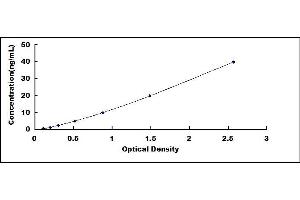 Typical standard curve (PCOLCE Kit ELISA)