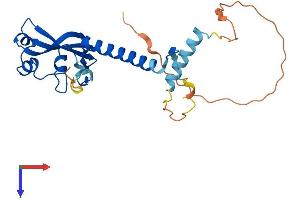 AlphaFold protein structure predicition of Mouse Recombinant Med6 Protein, UniprotID Q921D4