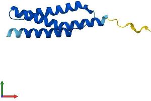AlphaFold protein structure predicition of Human Recombinant AHSP Protein, UniprotID Q9NZD4