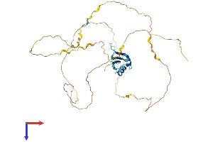AlphaFold protein structure predicition of Mouse Recombinant Rbmxl1 Protein, UniprotID Q91VM5