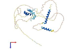 AlphaFold protein structure predicition of Mouse Recombinant Caap1 Protein, UniprotID Q8VDY9