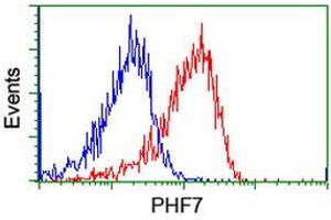 Image no. 14 for anti-PHD Finger Protein 7 (PHF7) (AA 155-381) antibody (ABIN1490975)