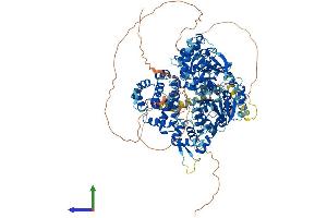 AlphaFold protein structure predicition of Mouse Recombinant Helq Protein, UniprotID Q2VPA6