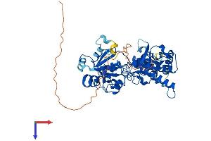 AlphaFold protein structure predicition of Human Recombinant FUT11 Protein, UniprotID Q495W5