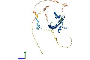 AlphaFold protein structure predicition of Human Recombinant DBP Protein, UniprotID Q10586