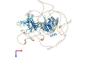 AlphaFold protein structure predicition of Human Recombinant MCM9 Protein, UniprotID Q9NXL9