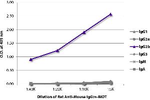 ELISA plate was coated with purified mouse IgG1, IgG2a, IgG2b, IgG3, IgM, and IgA. (Rat anti-Souris IgG2b Anticorps (Biotin))