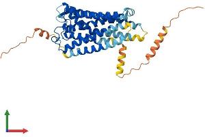 AlphaFold protein structure predicition of Human Recombinant PTGFR Protein, UniprotID P43088