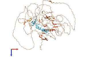AlphaFold protein structure predicition of Mouse Recombinant Sp3 Protein, UniprotID O70494
