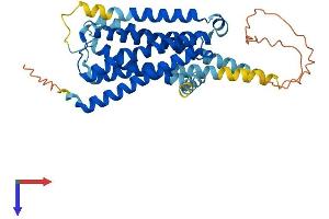 AlphaFold protein structure predicition of Human Recombinant HTR1E Protein, UniprotID P28566