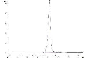 The purity of Human FLT3 Ligand is greater than 95 % as determined by SEC-HPLC.
