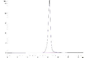 The purity of Human FLT3 Ligand is greater than 95 % as determined by SEC-HPLC. (FLT3LG Protein (AA 27-185) (His tag))