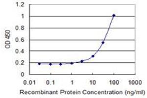 Detection limit for recombinant GST tagged SLC27A2 is 1 ng/ml as a capture antibody.