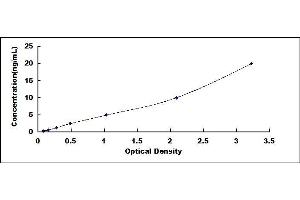 Typical standard curve (POLG Kit ELISA)