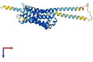 AlphaFold protein structure predicition of Human Recombinant HTR1F Protein, UniprotID P30939